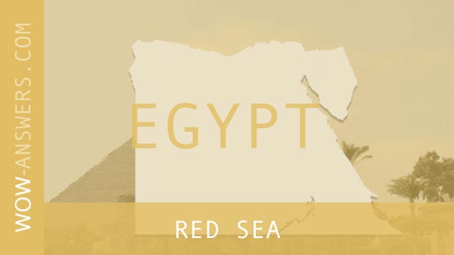 words of wonders Red Sea