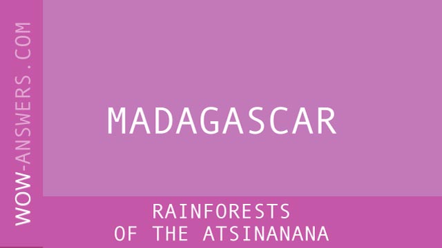 Words Of Wonders Rainforests Of The Atsinanana